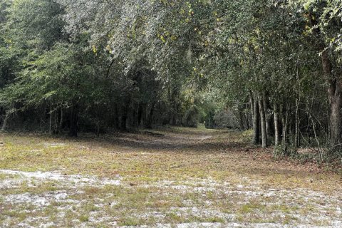 Terrain à vendre à Sanderson, Floride № 808194 - photo 1