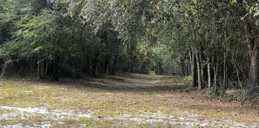 Terrain à Sanderson, Floride № 808194