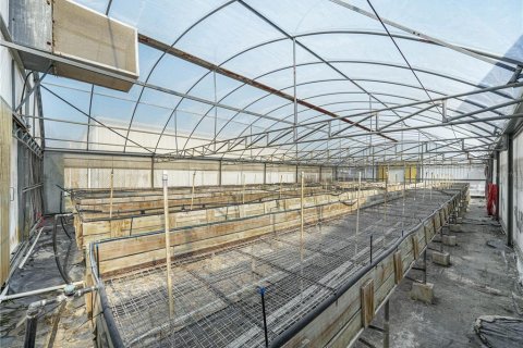 Propiedad comercial en alquiler en Lake Wales, Florida, 298.77 m2 № 1904166 - foto 25