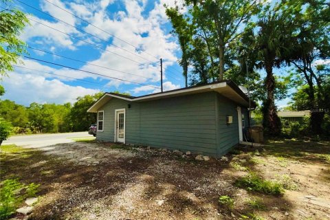 Villa ou maison à vendre à Eustis, Floride: 2 chambres, 77.29 m2 № 1687129 - photo 3