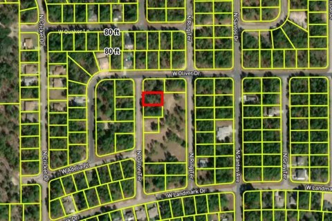 Land in Dunnellon, Florida № 2162655 - photo 2