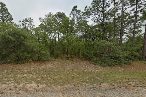 Land in Dunnellon, Florida № 2162655 - photo 3