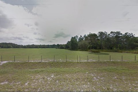 Terreno en venta en Polk City, Florida № 2235096 - foto 2