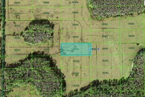 Terrain à Polk City, Floride № 2235096