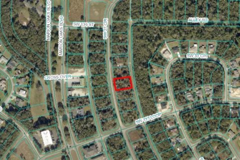 Land in Ocala, Florida № 2164733