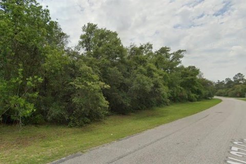Land in Ocala, Florida № 2164733 - photo 3