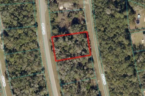 Land in Ocala, Florida № 2164733 - photo 2