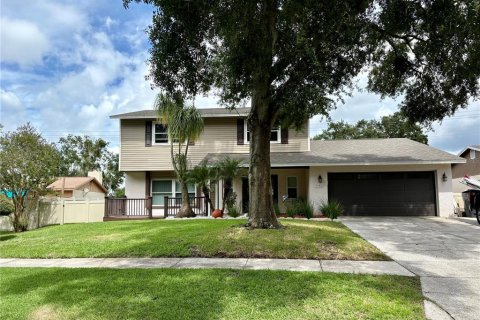 Casa en alquiler en Brandon, Florida, 4 dormitorios, 226.31 m2 № 1878202 - foto 1