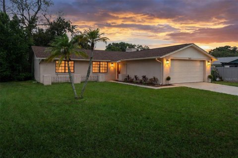 Casa en Lutz, Florida 3 dormitorios, 120.4 m2 № 2385840