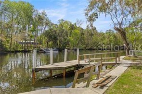 House in Yankeetown, Florida 3 bedrooms, 323.95 sq.m. № 2151341 - photo 16
