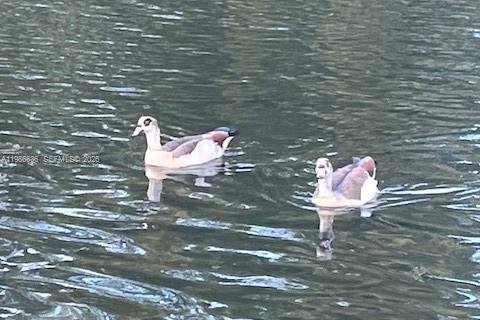 Купить кондоминиум в Норт-Майами-Бич, Флорида 1 спальня, 61.13м2, № 2048390 - фото 17