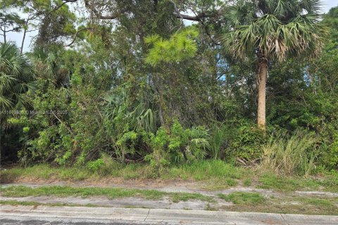 Land in Sebastian, Florida № 1764280 - photo 1