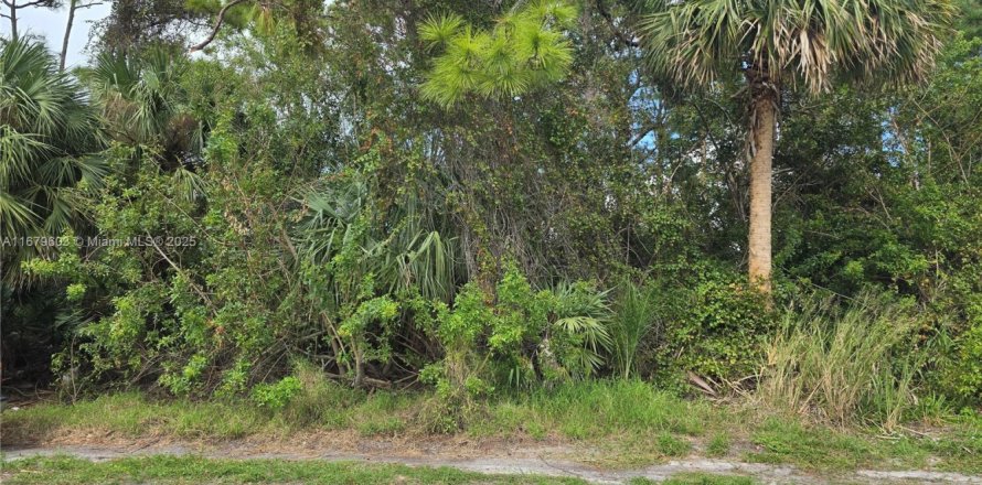 Land in Sebastian, Florida № 1764280