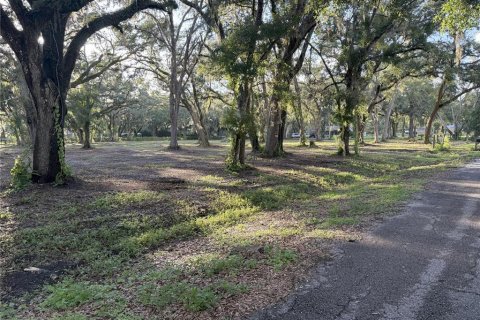 Land in Lakeland, Florida № 1820828 - photo 2