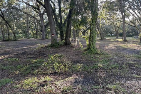 Land in Lakeland, Florida № 1820828 - photo 4