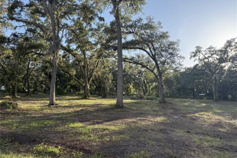 Land in Lakeland, Florida № 1820828 - photo 3