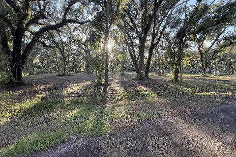 Land in Lakeland, Florida № 1820828 - photo 5