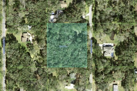 Land in Lakeland, Florida № 1820828 - photo 1