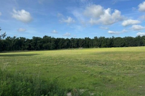 Terreno en Fort Meade, Florida № 2238553