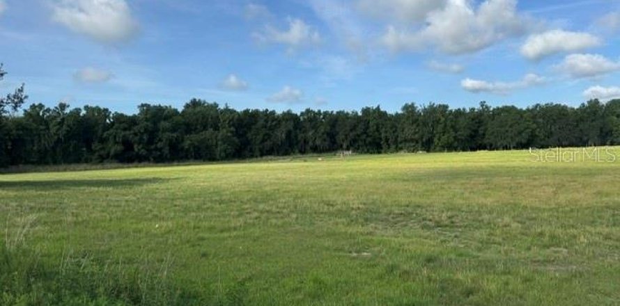 Terrain à Fort Meade, Floride № 2238553