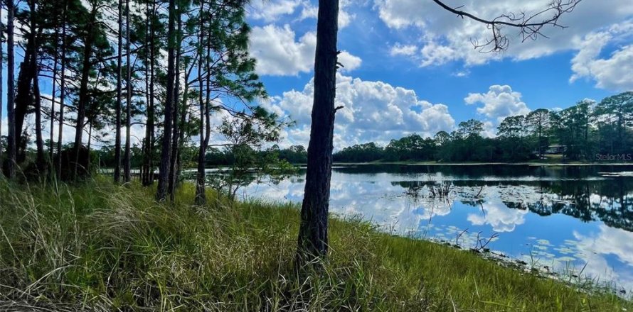Land in DeLand, Florida № 2159837