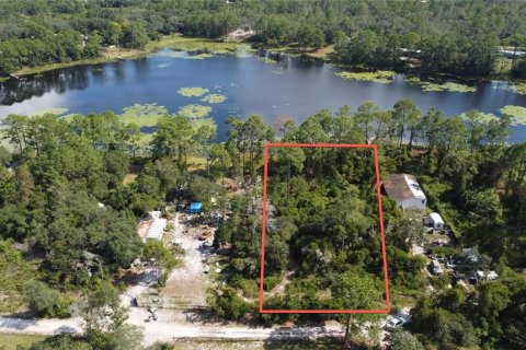 Land in DeLand, Florida № 2159837 - photo 7