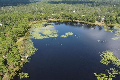 Land in DeLand, Florida № 2159837 - photo 8