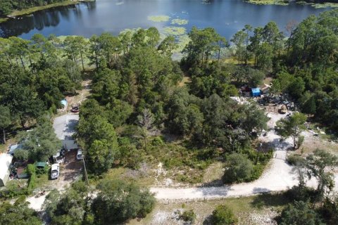 Land in DeLand, Florida № 2159837 - photo 6