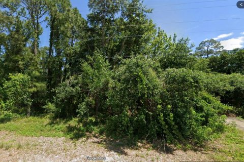 Land in Lake Placid, Florida № 2218771