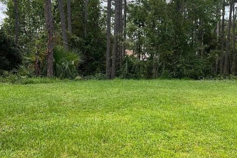 Villa ou maison à vendre à Palm Coast, Floride: 5 chambres, 314.38 m2 № 2285704 - photo 19