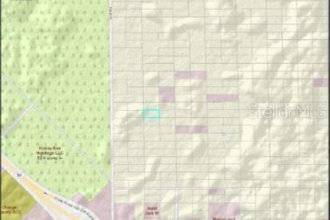 Terreno en venta en Orlando, Florida № 1395288 - foto 2