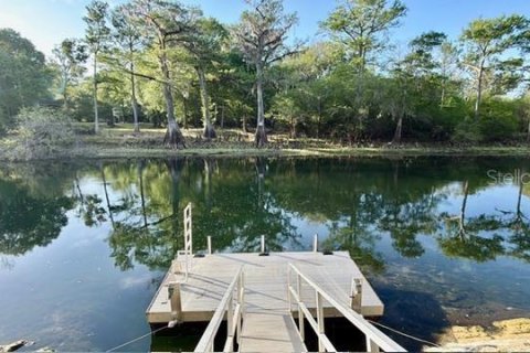 Villa ou maison à vendre à Branford, Floride: 3 chambres, 243.03 m2 № 2205038 - photo 9