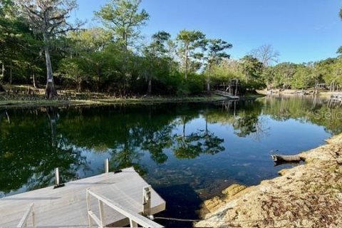 Villa ou maison à vendre à Branford, Floride: 3 chambres, 243.03 m2 № 2205038 - photo 10