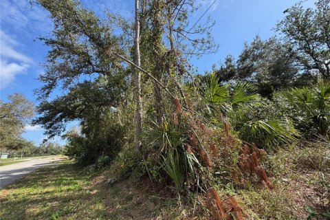 Land in North Port, Florida № 1544266 - photo 4