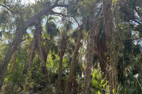 Land in North Port, Florida № 1544266 - photo 7