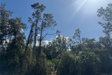 Land in North Port, Florida № 1544266 - photo 5