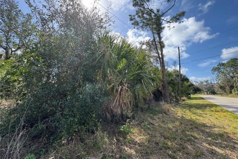 Land in North Port, Florida № 1544266 - photo 3