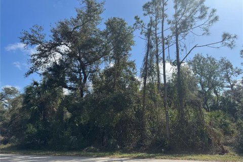 Land in North Port, Florida № 1544266 - photo 2