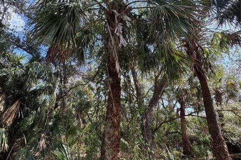 Land in North Port, Florida № 1544266 - photo 9