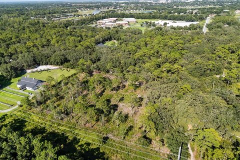 Land in Lake Mary, Florida № 1876882 - photo 4