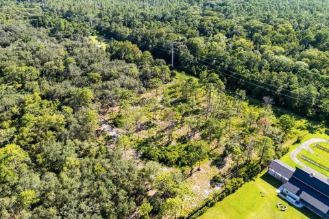 Land in Lake Mary, Florida № 1876882 - photo 6