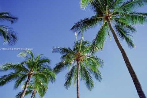 Снять в аренду кондоминиум в Майами-Бич, Флорида 1 спальня, 75.25м2, № 1957738 - фото 22