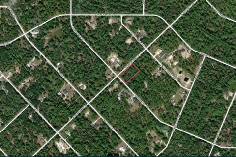 Land in Crystal River, Florida № 2198186 - photo 2