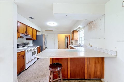 Villa ou maison à vendre à Tavares, Floride: 3 chambres, 159.7 m2 № 2410234 - photo 10