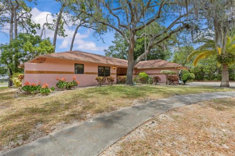 House in Tarpon Springs, Florida 3 bedrooms, 179.49 sq.m. № 2196964