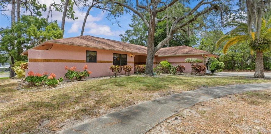 Villa ou maison à Tarpon Springs, Floride 3 chambres, 179.49 m2 № 2196964