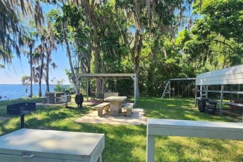 Land in Georgetown, Florida № 2159687 - photo 14