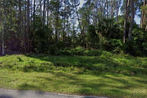 Land in Georgetown, Florida № 2159687 - photo 2