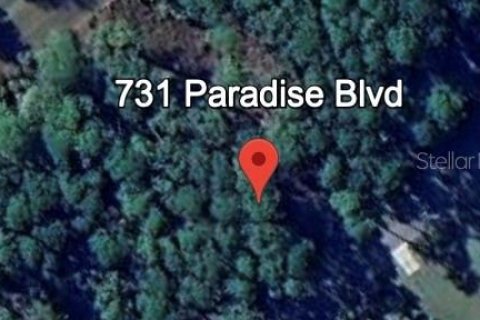 Land in Georgetown, Florida № 2159687