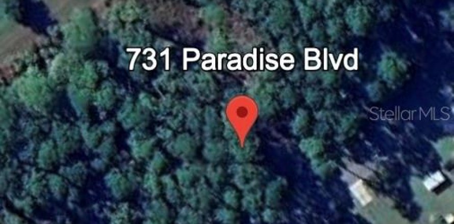 Land in Georgetown, Florida № 2159687
